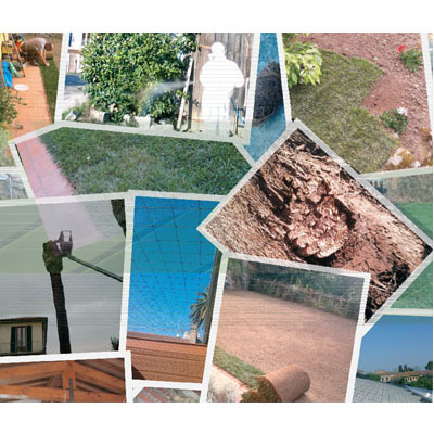Images Fitosan Service