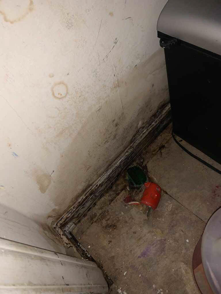 If you think you might have a Mold Problem, Call SERVPRO of Greater Broken Arrow