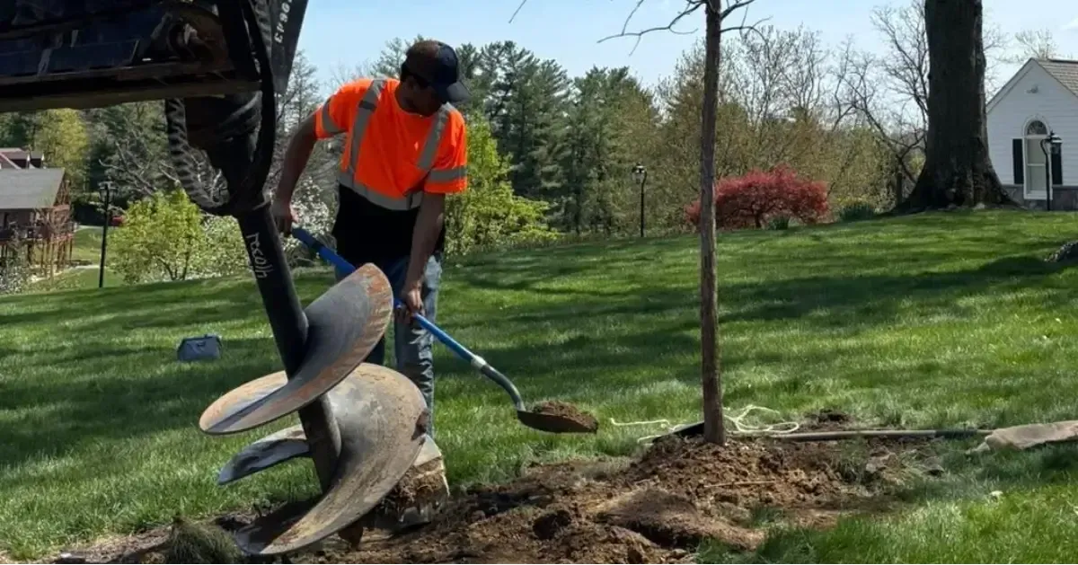 Tree Planting Services in Pittsburgh