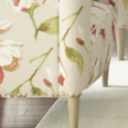 Carpet Cleaning Ahwatukee