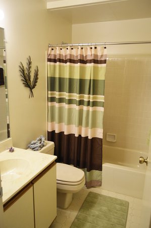 Images Shade Tree Trace Apartments