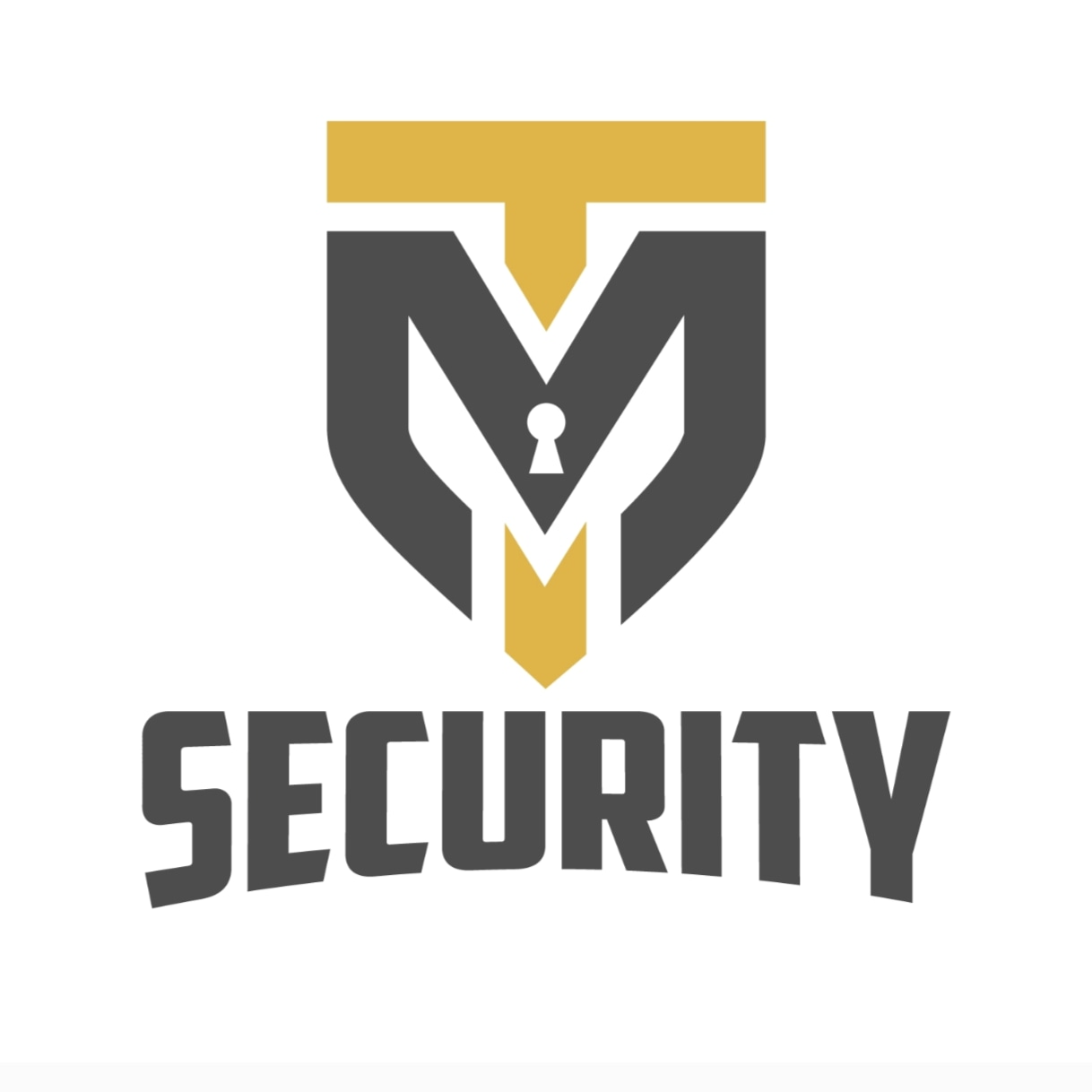 TM Security e.K in Wörth am Main - Logo