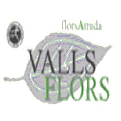 Valls Flors Logo