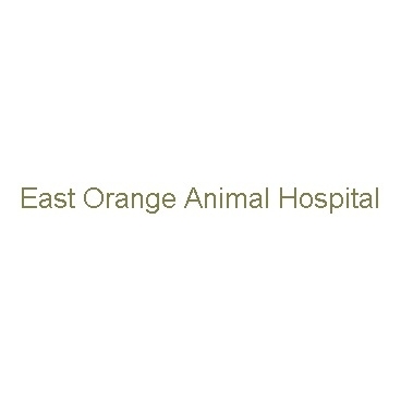 East Orange Animal Hospital