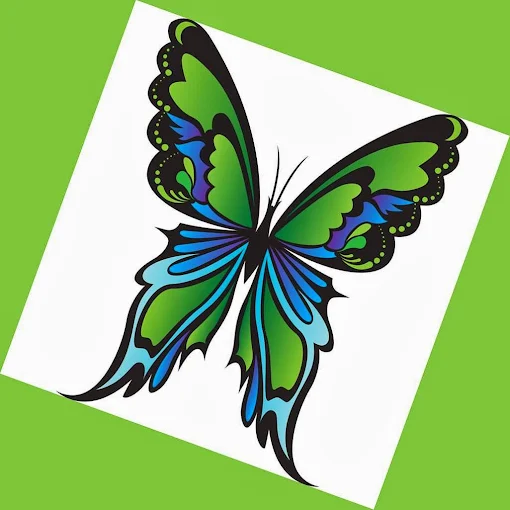 Bild 1 von Sabine Dungl-Nemetz