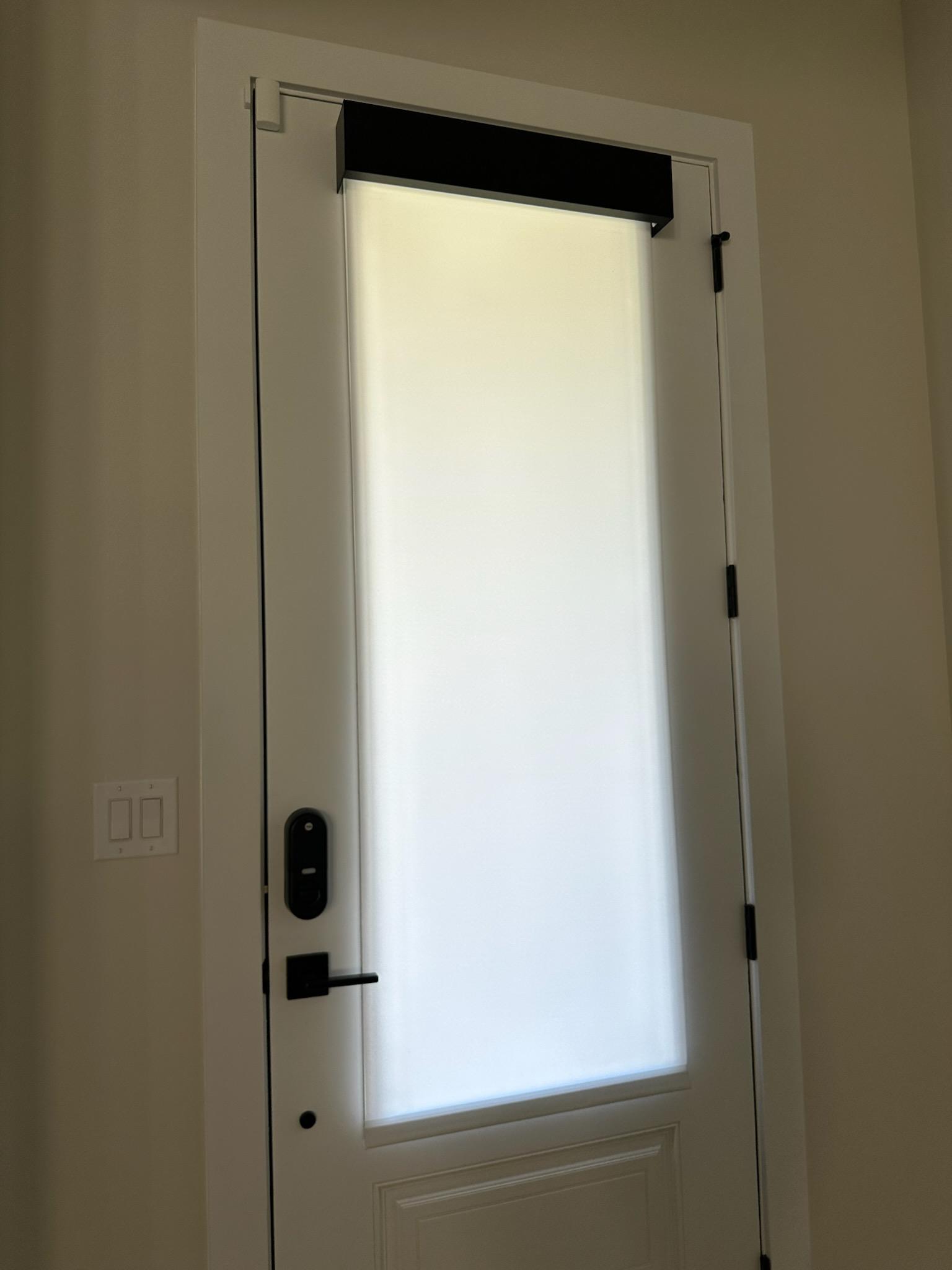 Lutron roller shade, color Nova with black metal fascia.