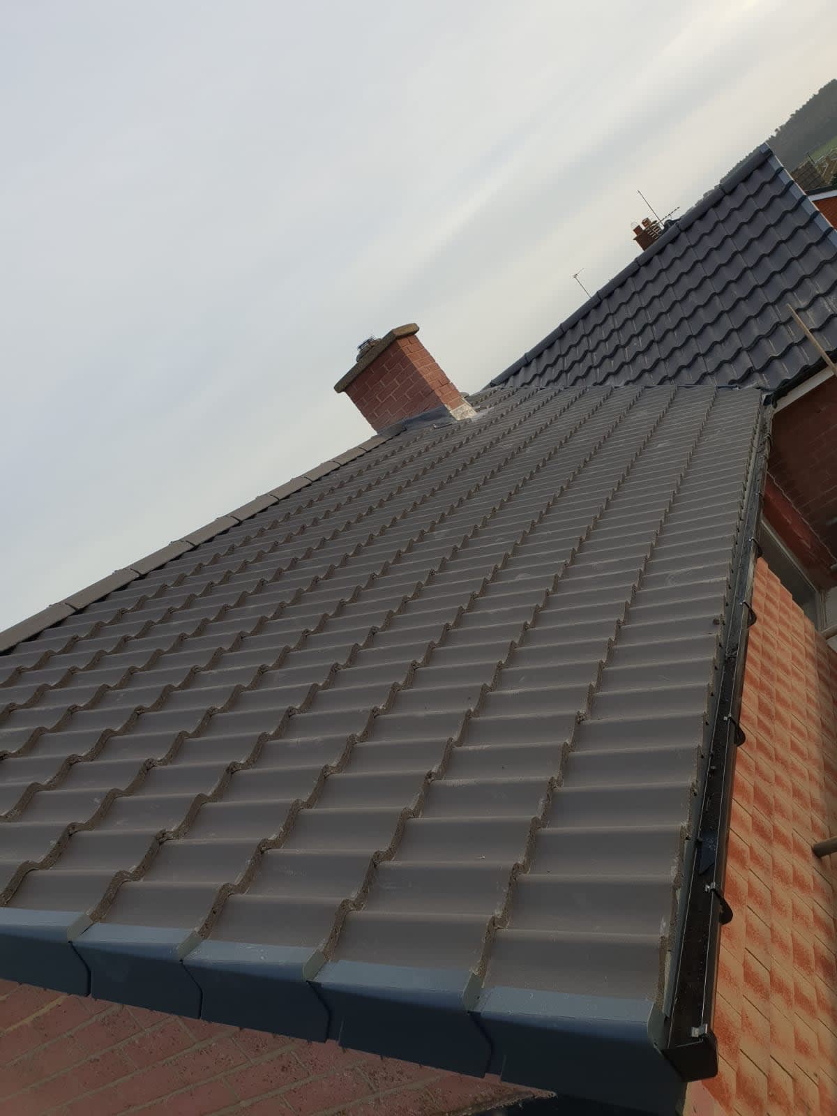 Images AAA Roofing Ltd