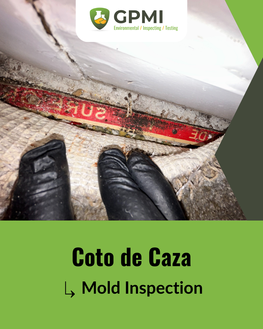 Mold inspection photo showing visible staining and contamination along a building material seam during an indoor assessment.