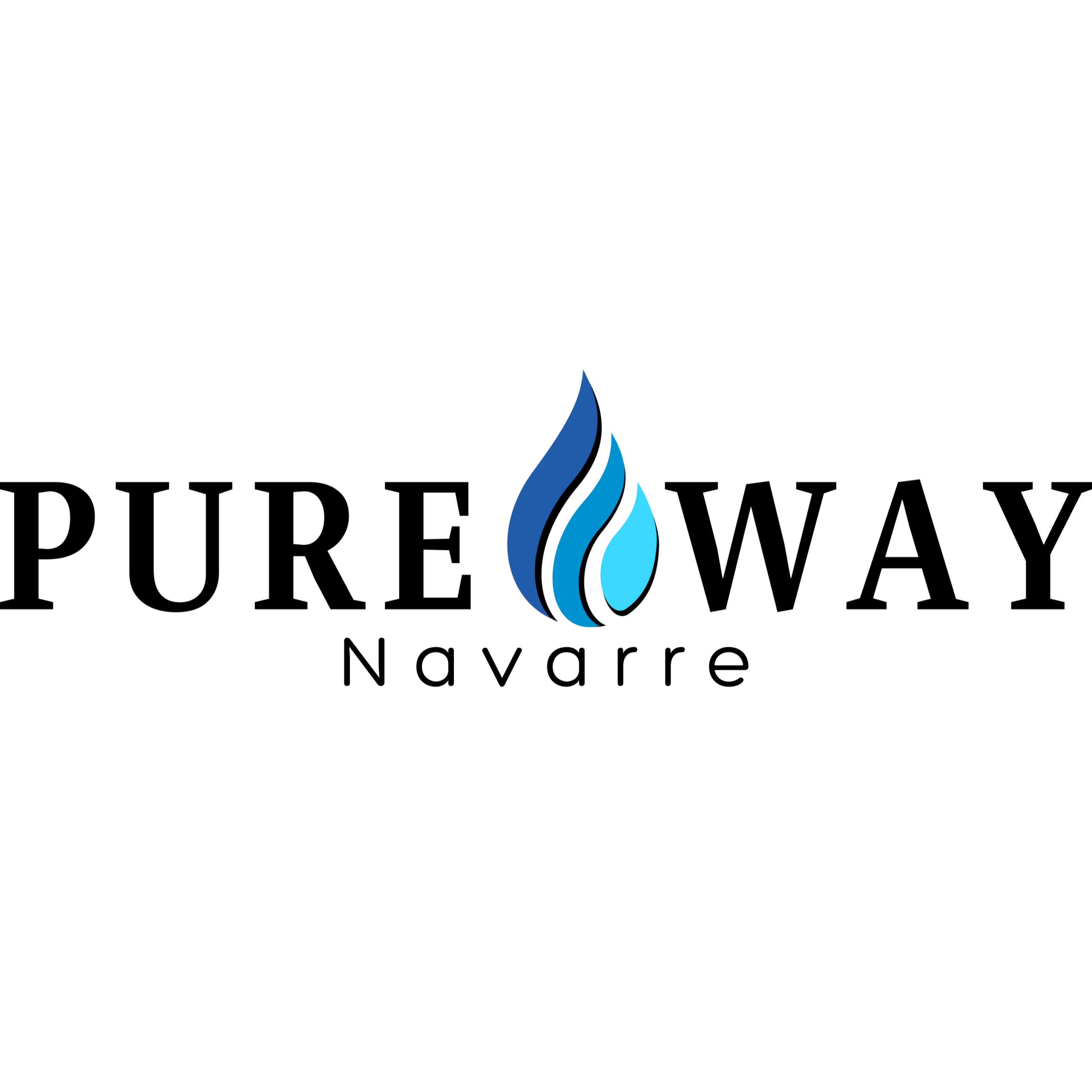 Pure Way of Navarre