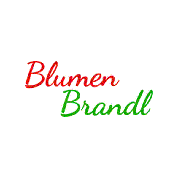 Blumen Brandl in 4052 Ansfelden Logo