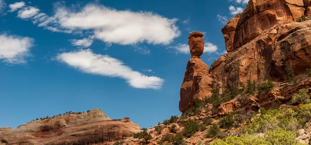 Images Dufford Waldeck