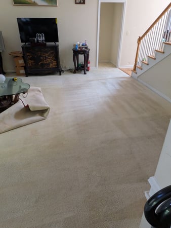 Images Purifications Carpet Cleaning