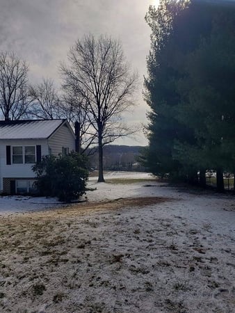 Images Jorge's Tree Service, LLC