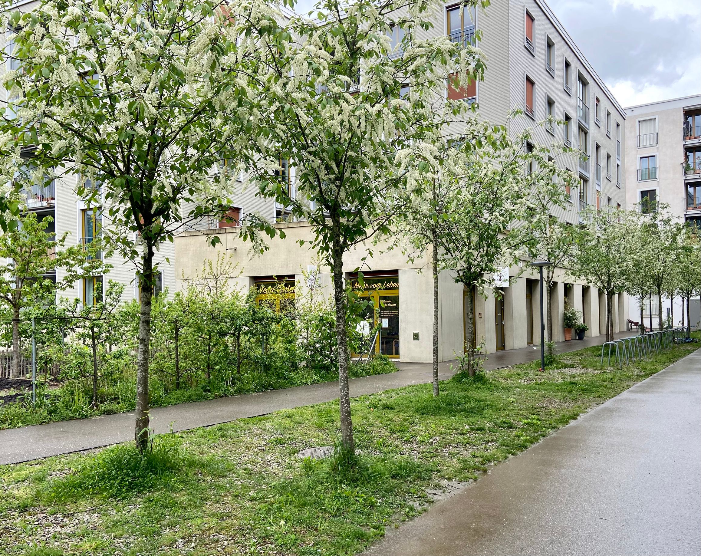 Veda Center, Dialogweg 2 in Zürich