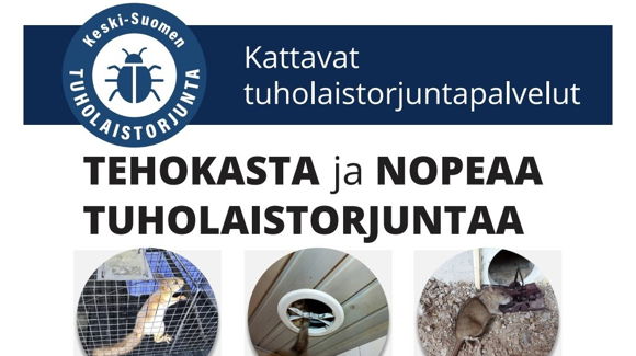 Images Keski-Suomen Tuholaistorjunta