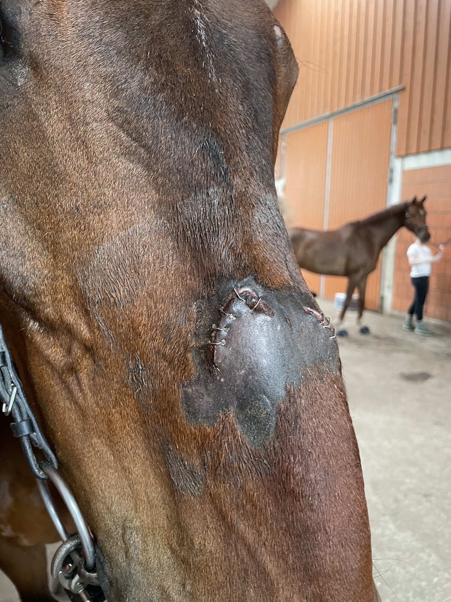 NANO Center CellCare therapie Bioresonanz Daniela Siegmund in Essen