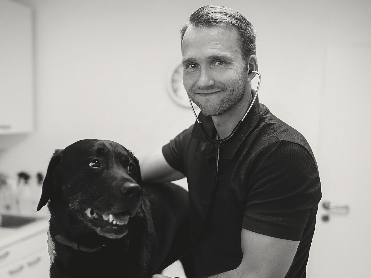 Bilder Tierarzt Hemer, Kleintierpraxis Dr. Moritz Flörke