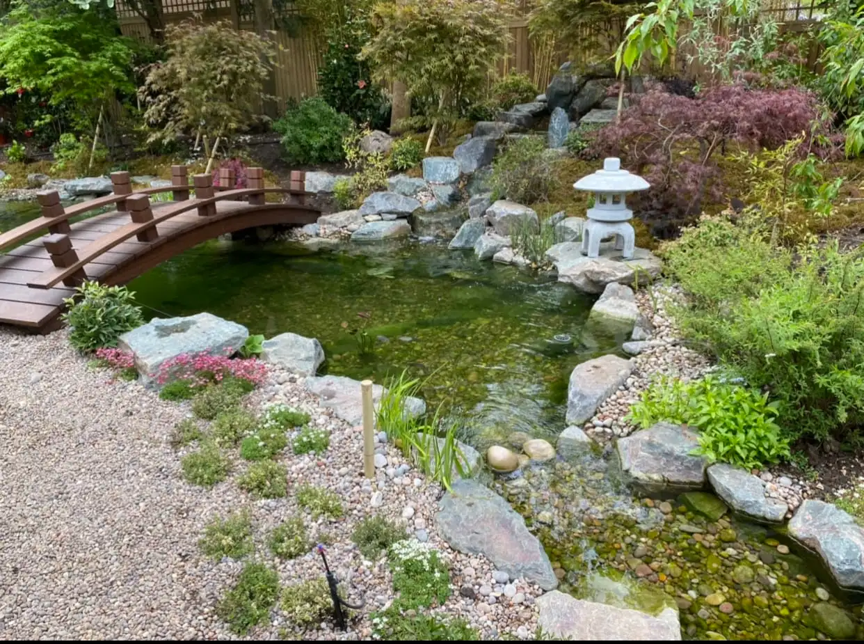 Images Aquascapes Water Feature Specialist Ltd