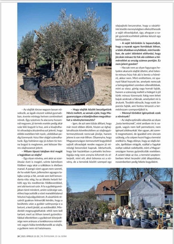 Images Terra Hungary - Olive trees and more