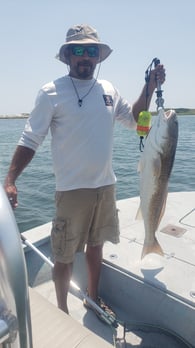 Images E-6 INSHORE FISHING ADVENTURES, LLC