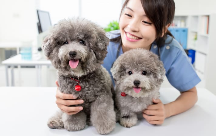 Images ペットエキスポ瀬戸店