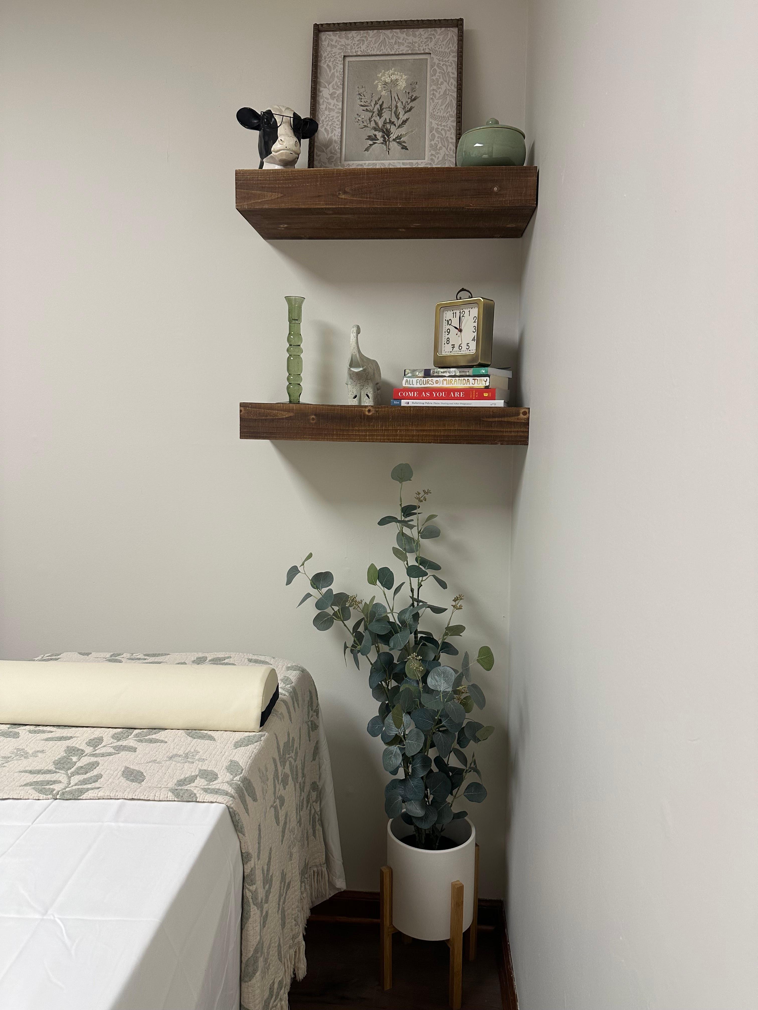 Balanced OT Wellness Pelvic Health Treatment Room
