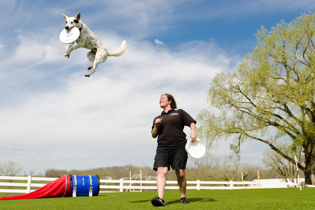 Images Purina Farms