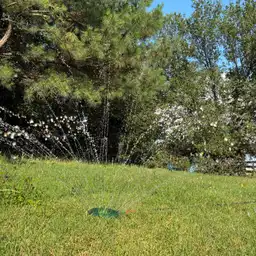 Sniffspot Yolistone Image