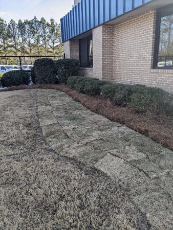Images Turf Management Systems