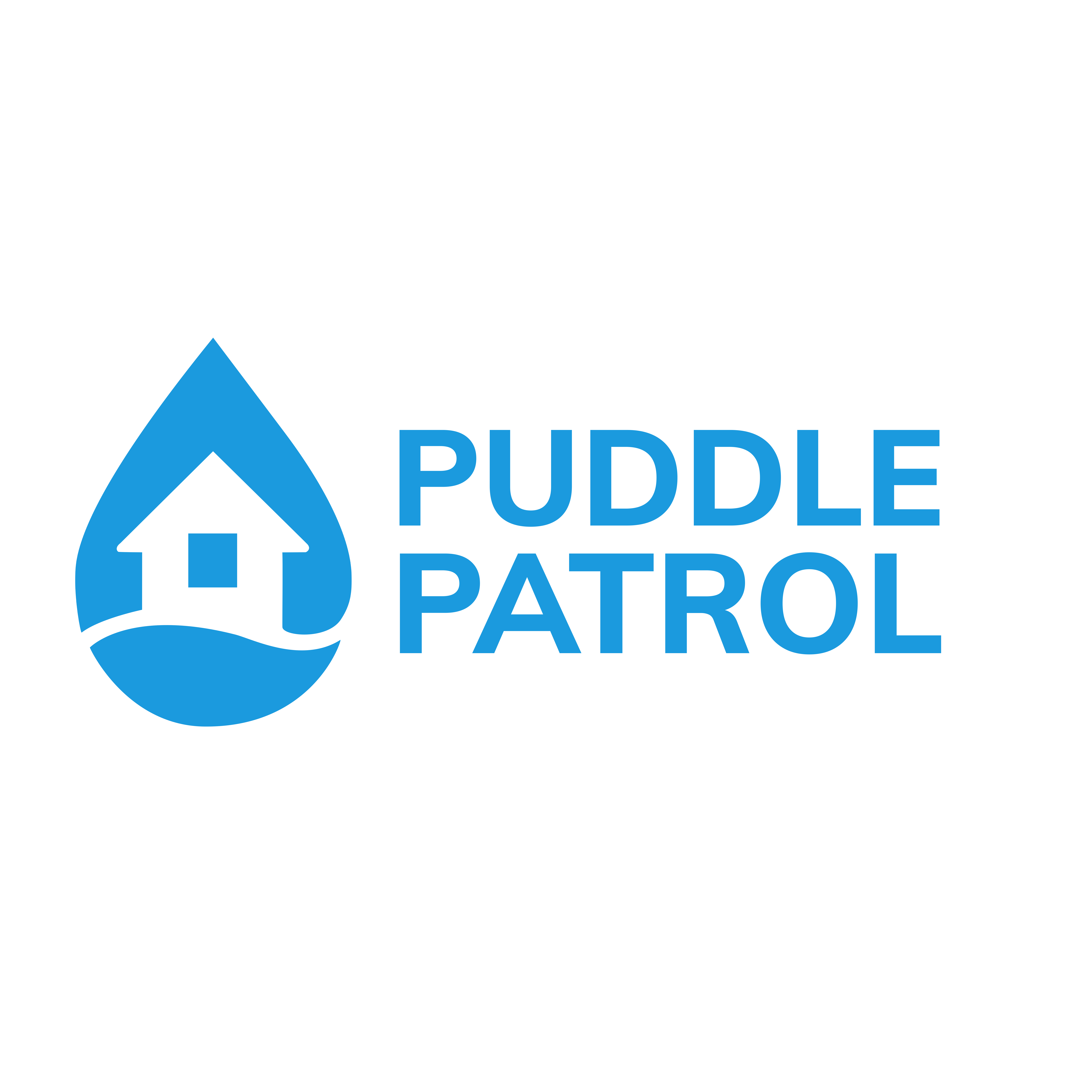 Puddle Patrol Inc