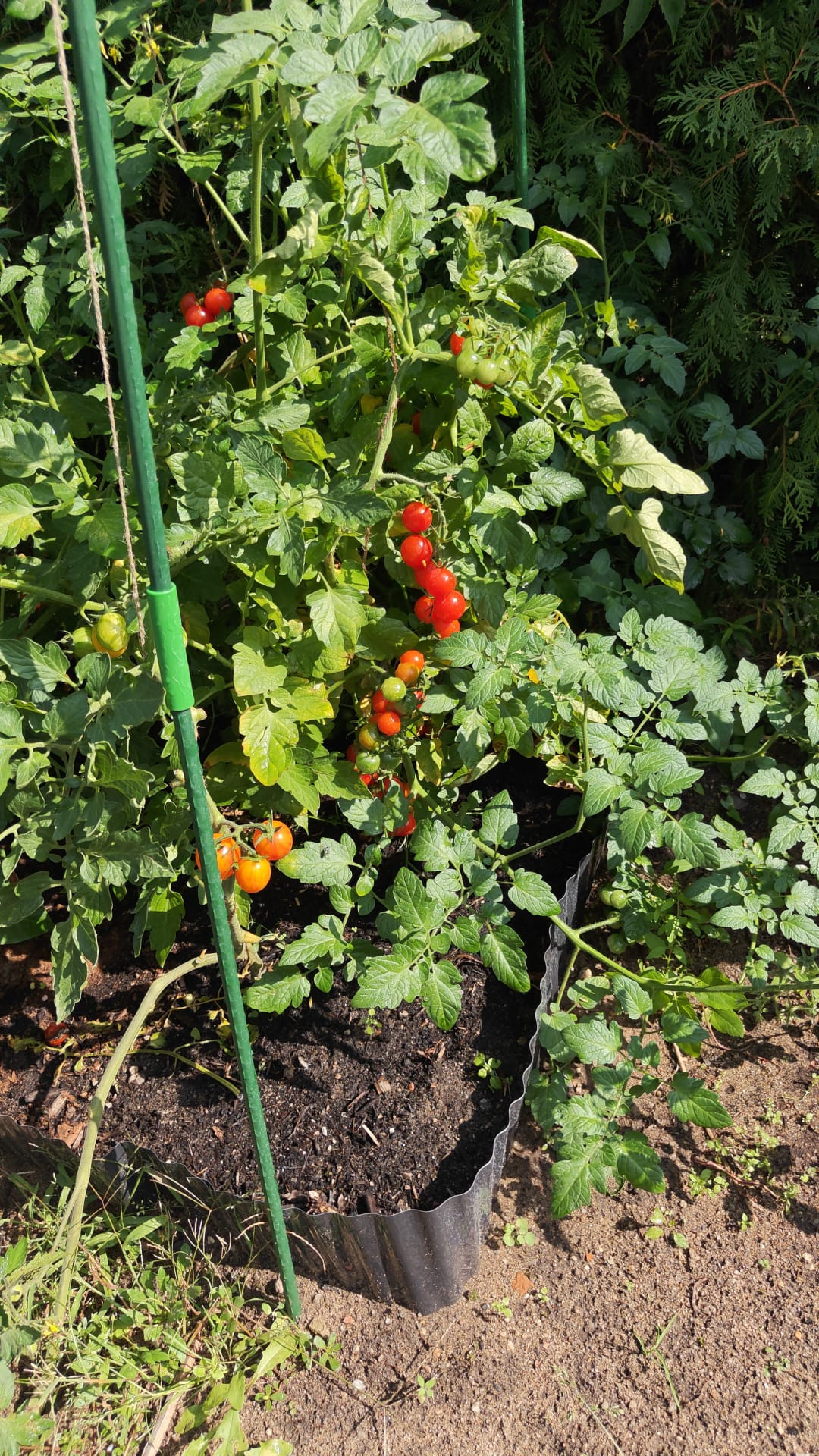 Schreinerei Bertsch, Grüner Weg 2a in Erkner