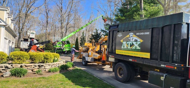 Images Affordable Tree Experts LLC