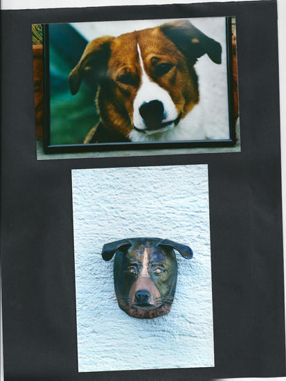 Ehinger G. AG, Hasentalstrasse 16 in Knonau