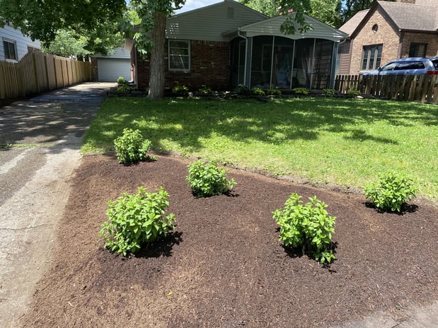 Images Rooted Lawn & Landscape