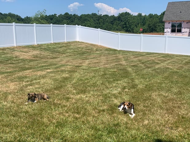 Images B Line Fencing & Services