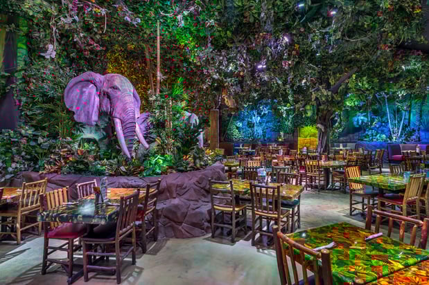 Images Rainforest Cafe