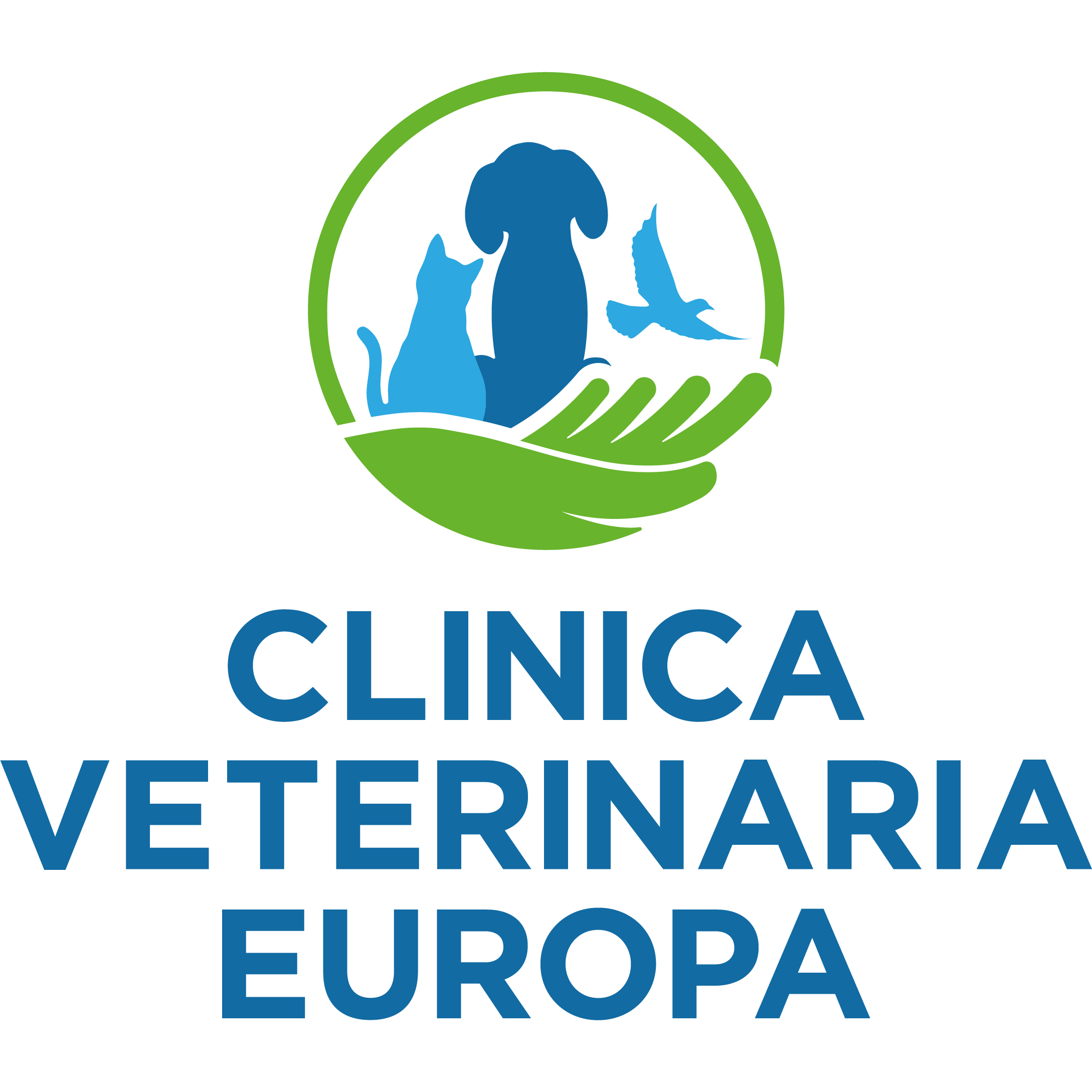 Clinica Veterinaria Europa - Veterinaria - ambulatori e laboratori Firenze
