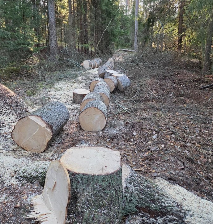 Images Puunkaato Kuokkanen