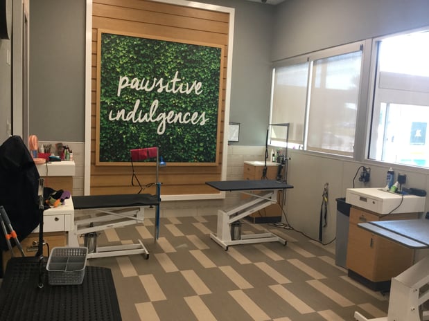 Images Petco Grooming
