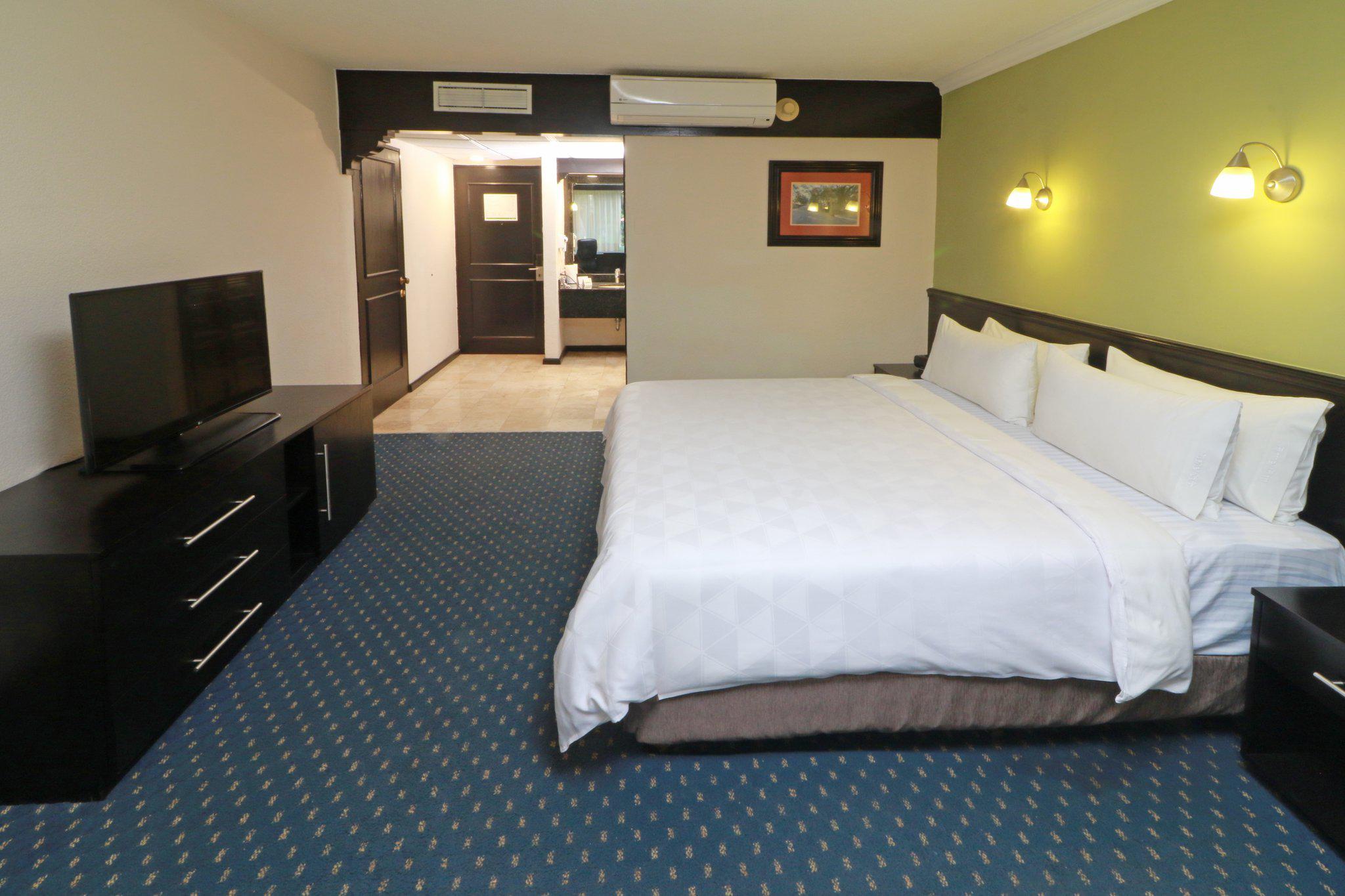 Images Holiday Inn San Luis Potosi-Quijote, an IHG Hotel