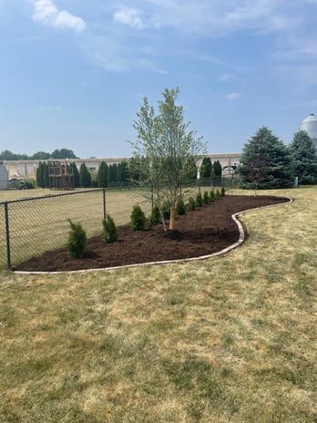 Images JT's Lawn Care & Landscaping LLC