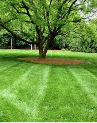 Images F.G. Manutenzione Giardini