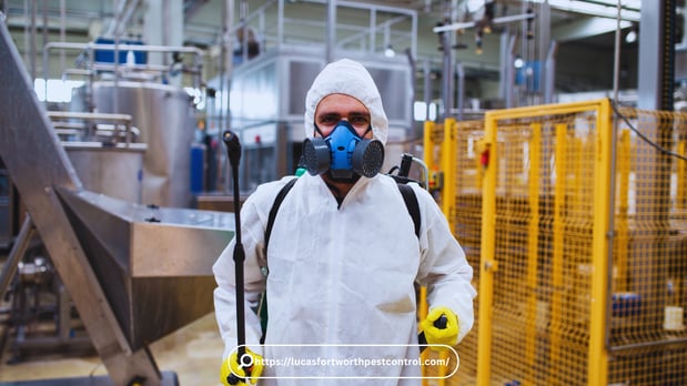 Images Pest Control Fort Worth