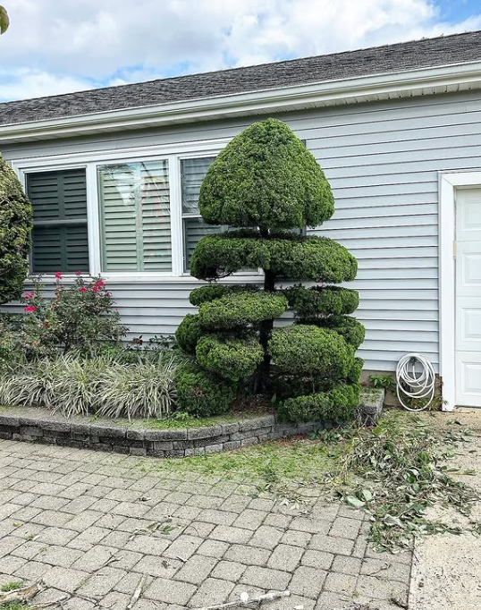 Images R.T. Davies Inc. Tree Experts