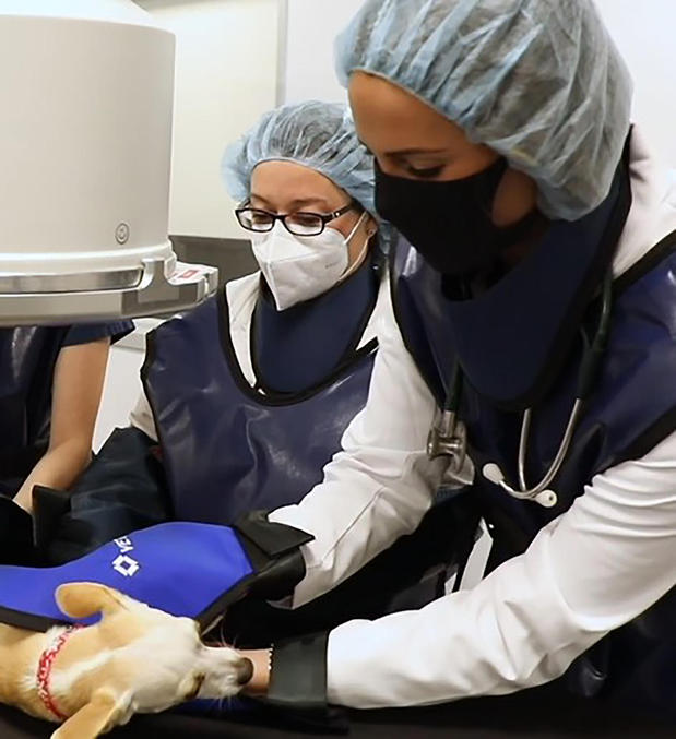 Images VCA Orange County Veterinary Specialists