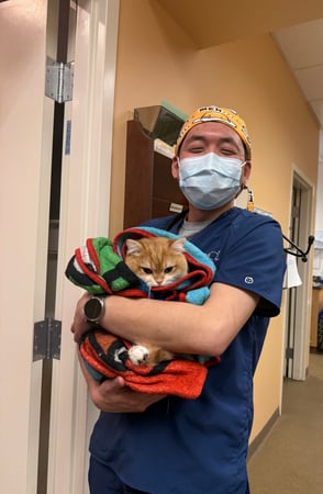 Images VCA Old Tappan Veterinary Hospital