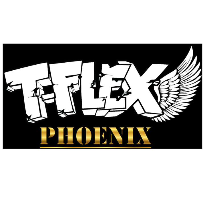 T-Flex Phoenix GmbH in Dortmund - Logo