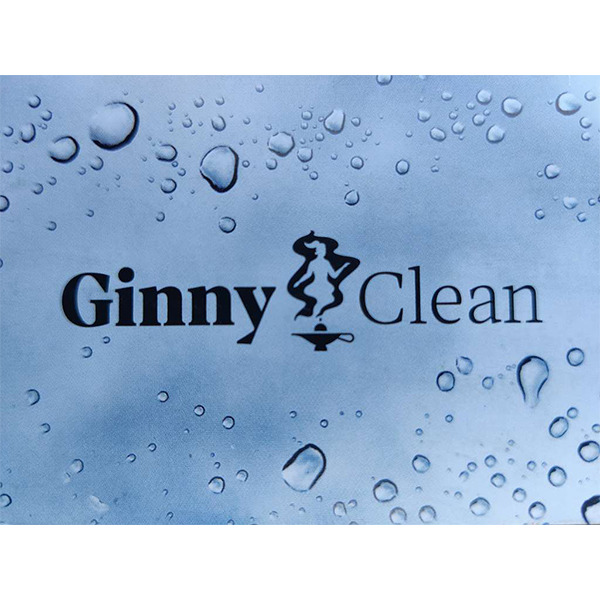 Ginny Clean e.U. Logo