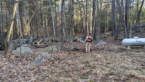 Images Continuity Landscape Services