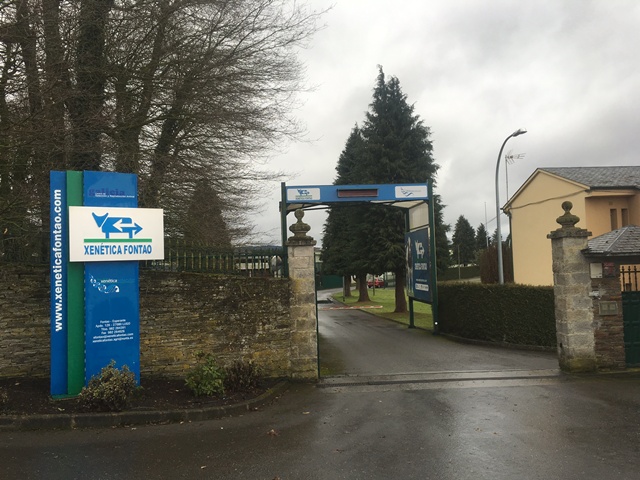 Images Xenética Fontao S.A.